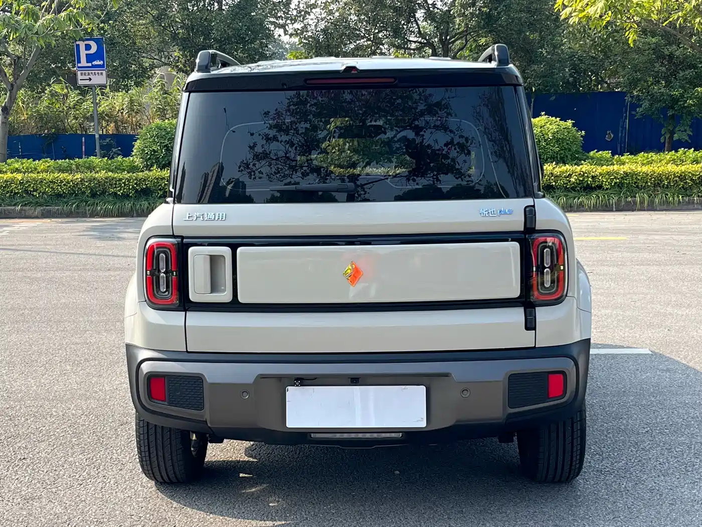 BAOJUN YUE ALSO PLUS