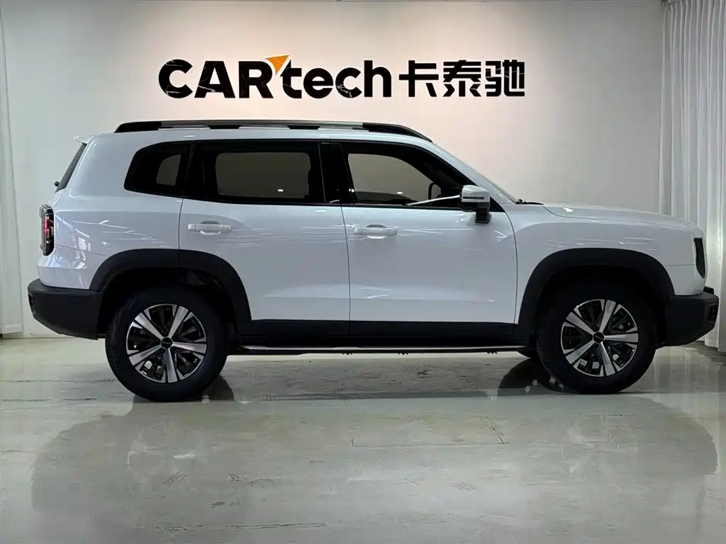 Haval Big Dog 2021 1.5T DCT 2WD Labrador Edition фото 4