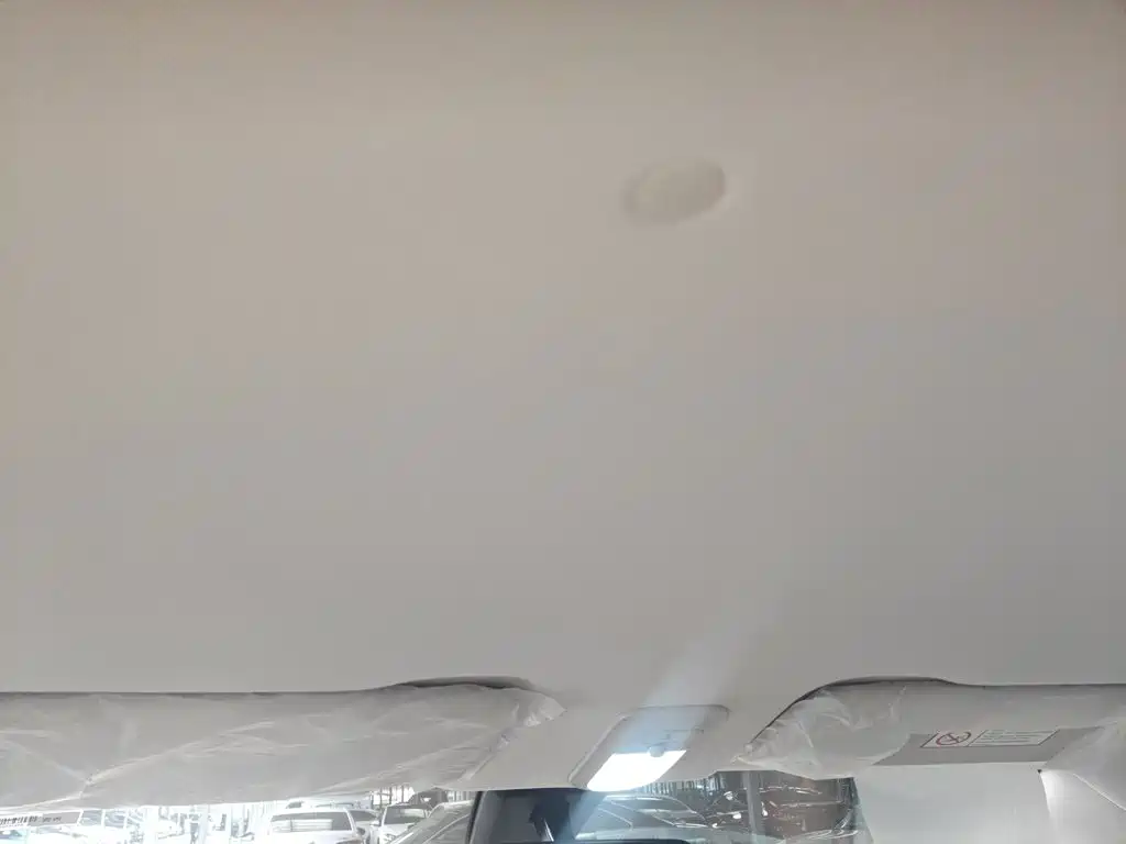 Wuling Motors Wuling Bingo 2026 2025 Model 333km Joy Edition