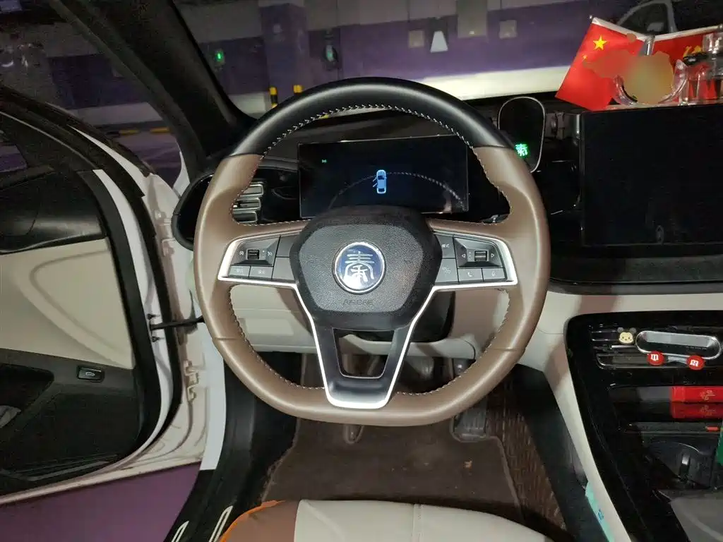 BYD Qin PLUS 2024 Glory Edition DM-i 55KM Leading фото 7