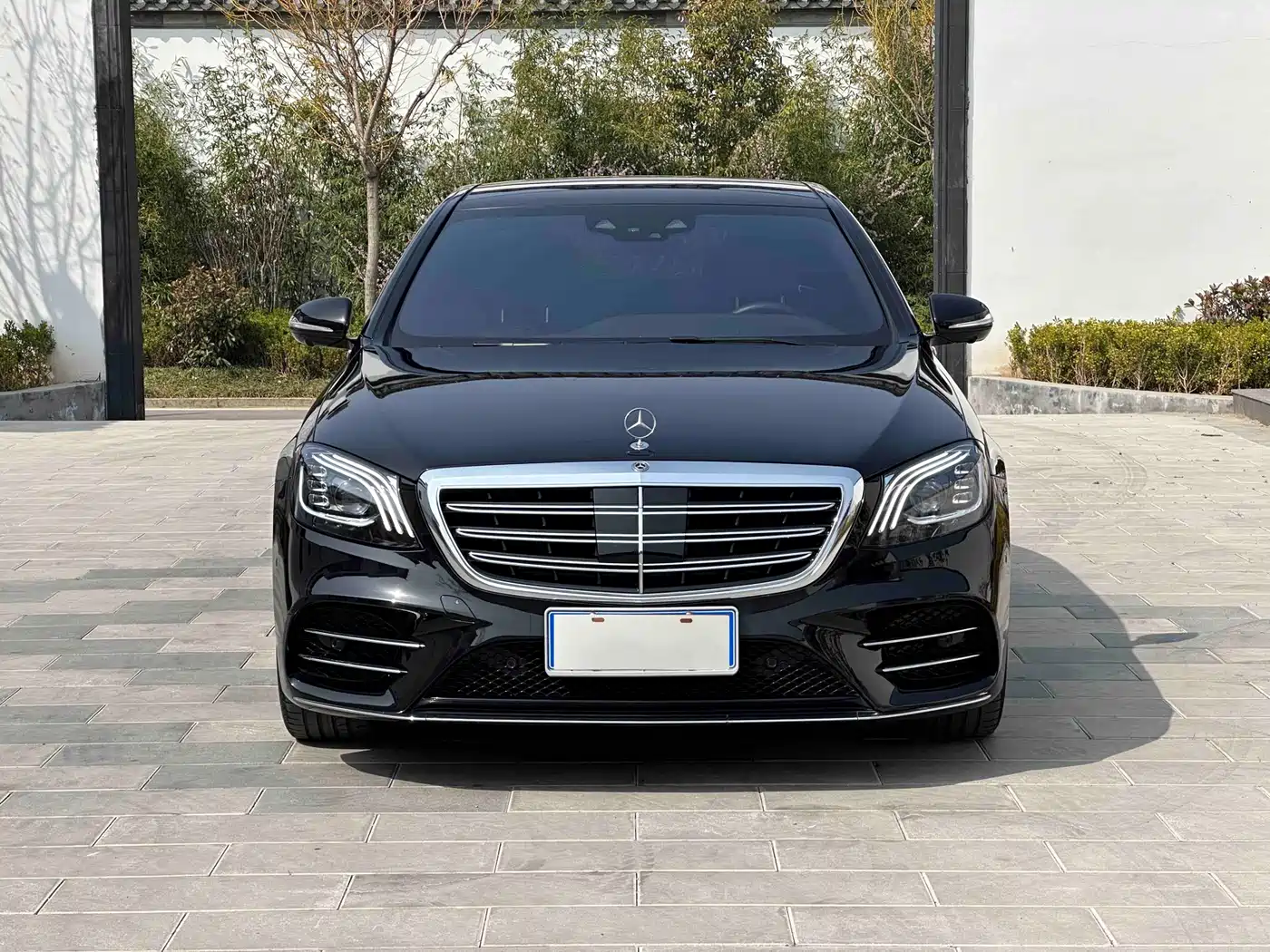 Mercedes-Benz S-Class 2019 S 450 L 4MATIC фото 2