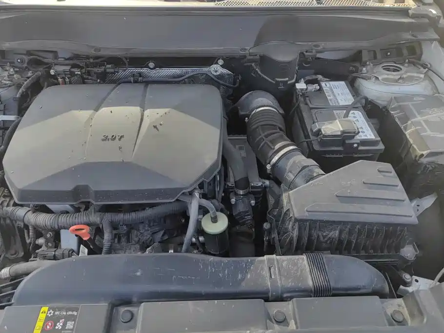 Haval Dargo 2025 2024 2.0T DCT Chinese Rural Dog Edition