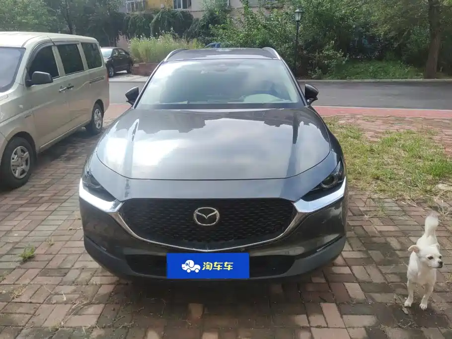 Mazda CX-30 2020 2020 2.0L Automatic Yaoyue