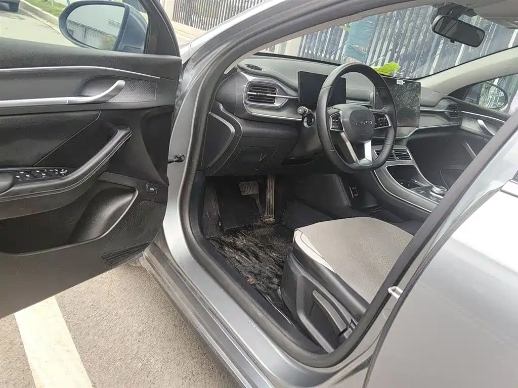 BYD Destroyer 05 2023 Champion Edition DM-i 55KM Luxury фото 13