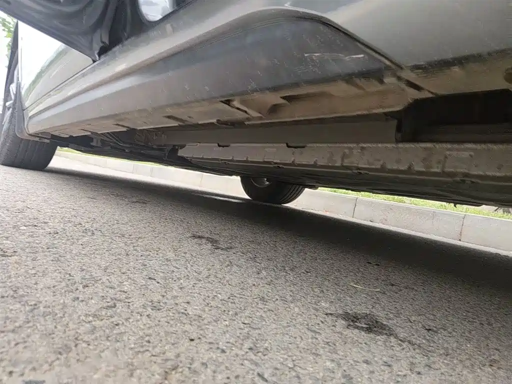 BYD Destroyer 05 2023 Champion Edition DM-i 55KM Luxury фото 20