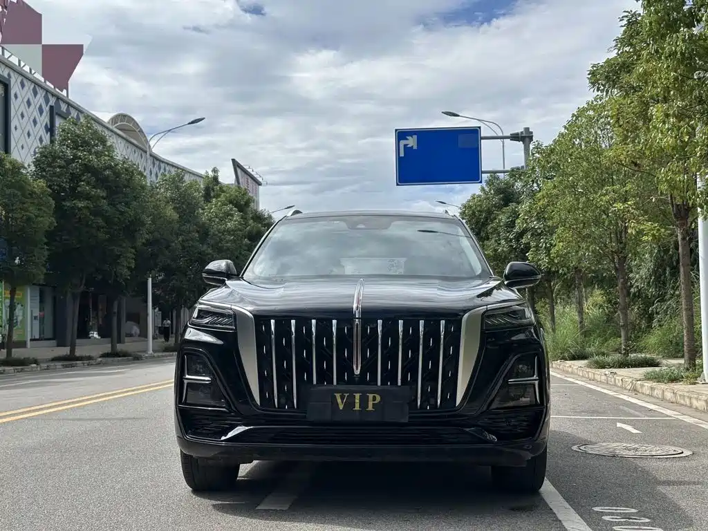 Photo 2 - Hongqi HS5