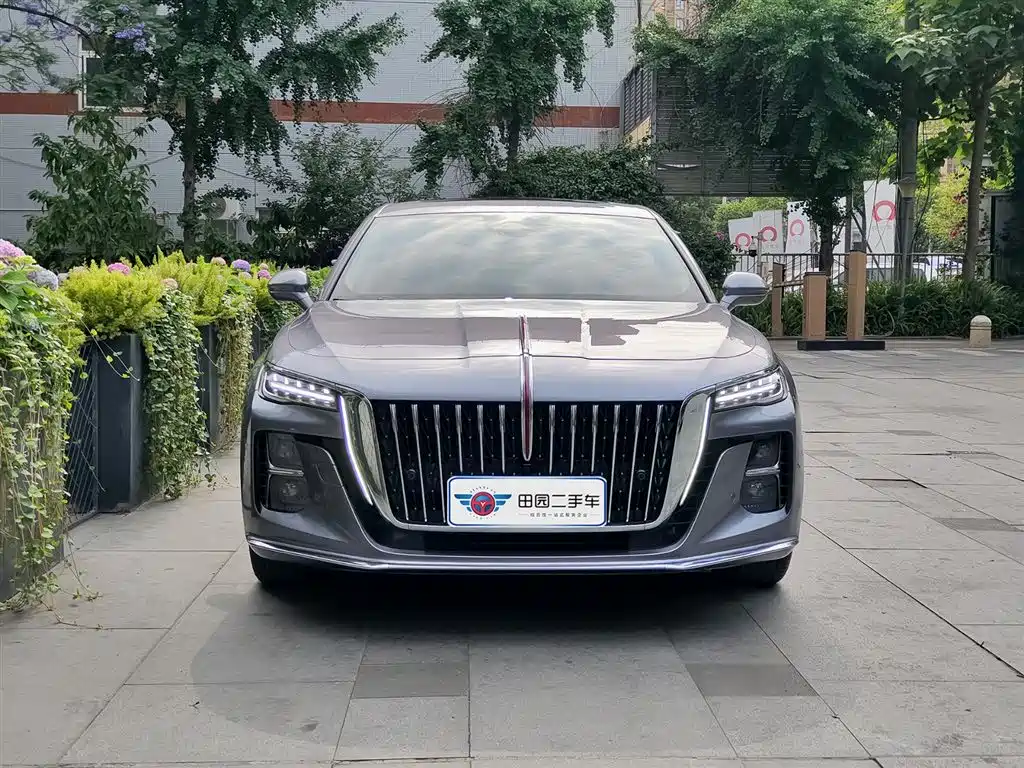 Hongqi H5 2023 2.0T Auto Smart Connect Flag Enjoy фото 2