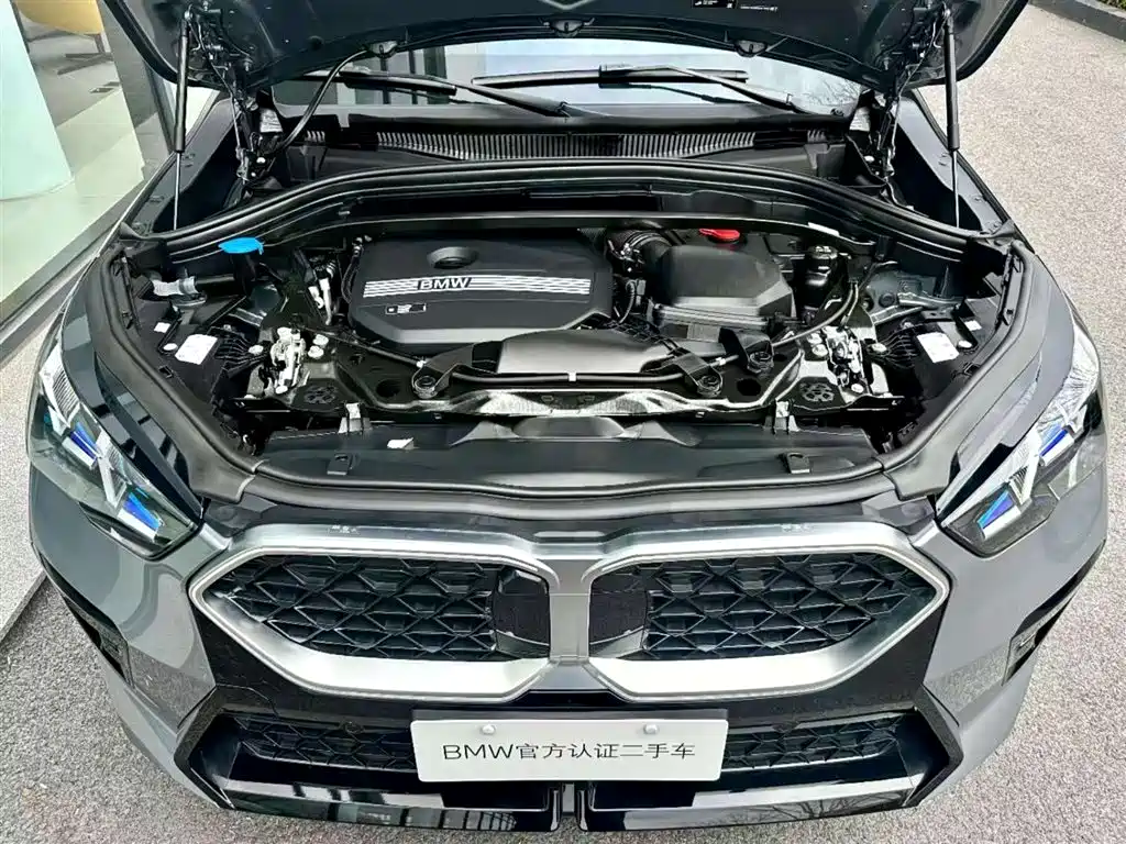 BMW X2 (Import) 2024 sDrive25i M Sport Package фото 12