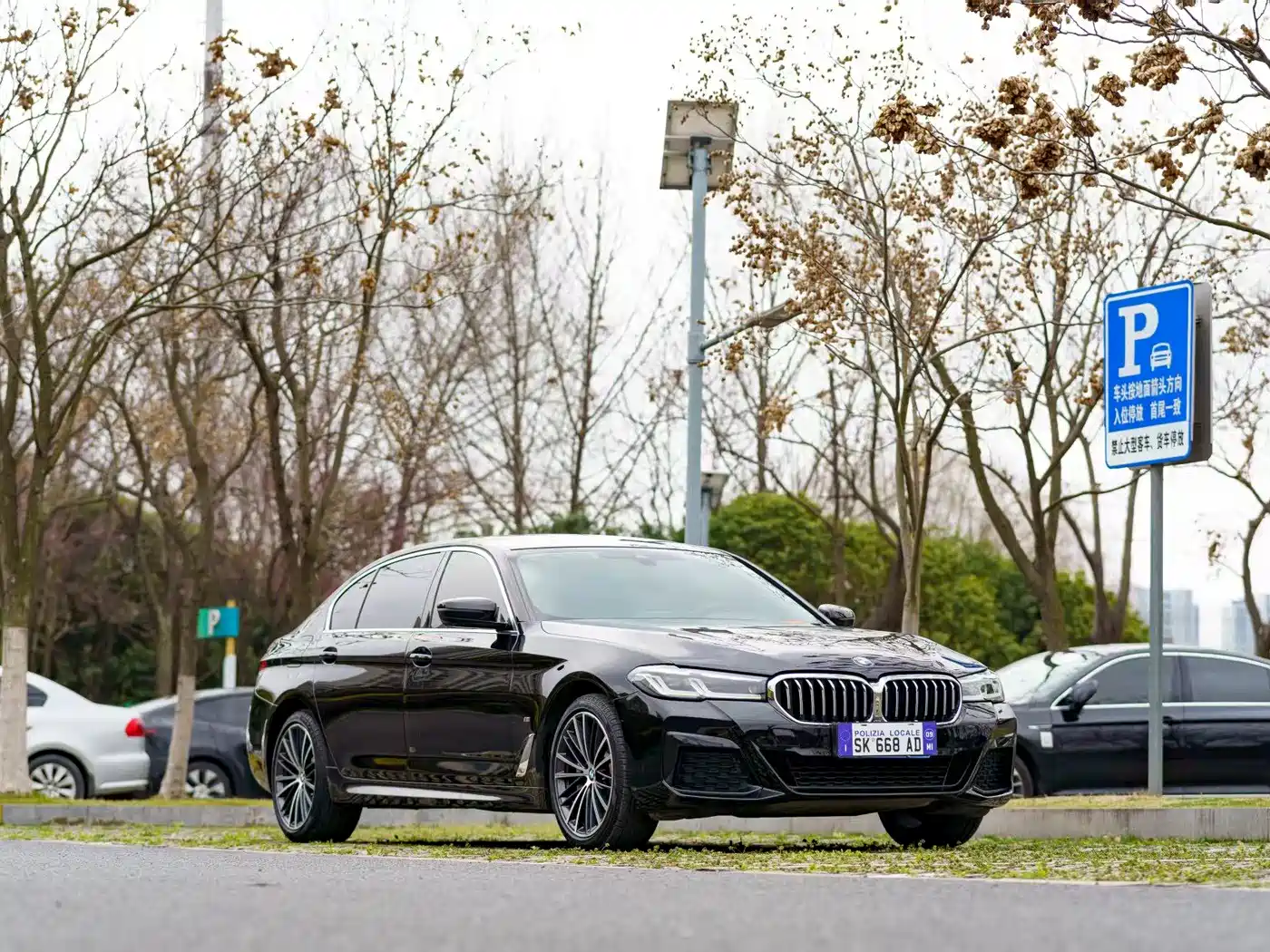 BMW 5 Series 2021 530Li Leading M Sport Package фото 3