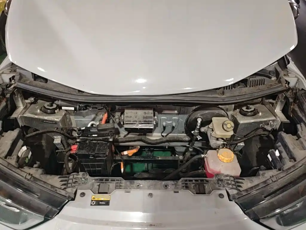 Chery New Energy Chery Wujie Pro 2023 2022 Model 301km Demon Beast Edition NCM
