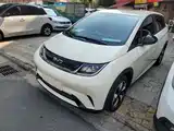 Фото 2 - BYD Dolphin