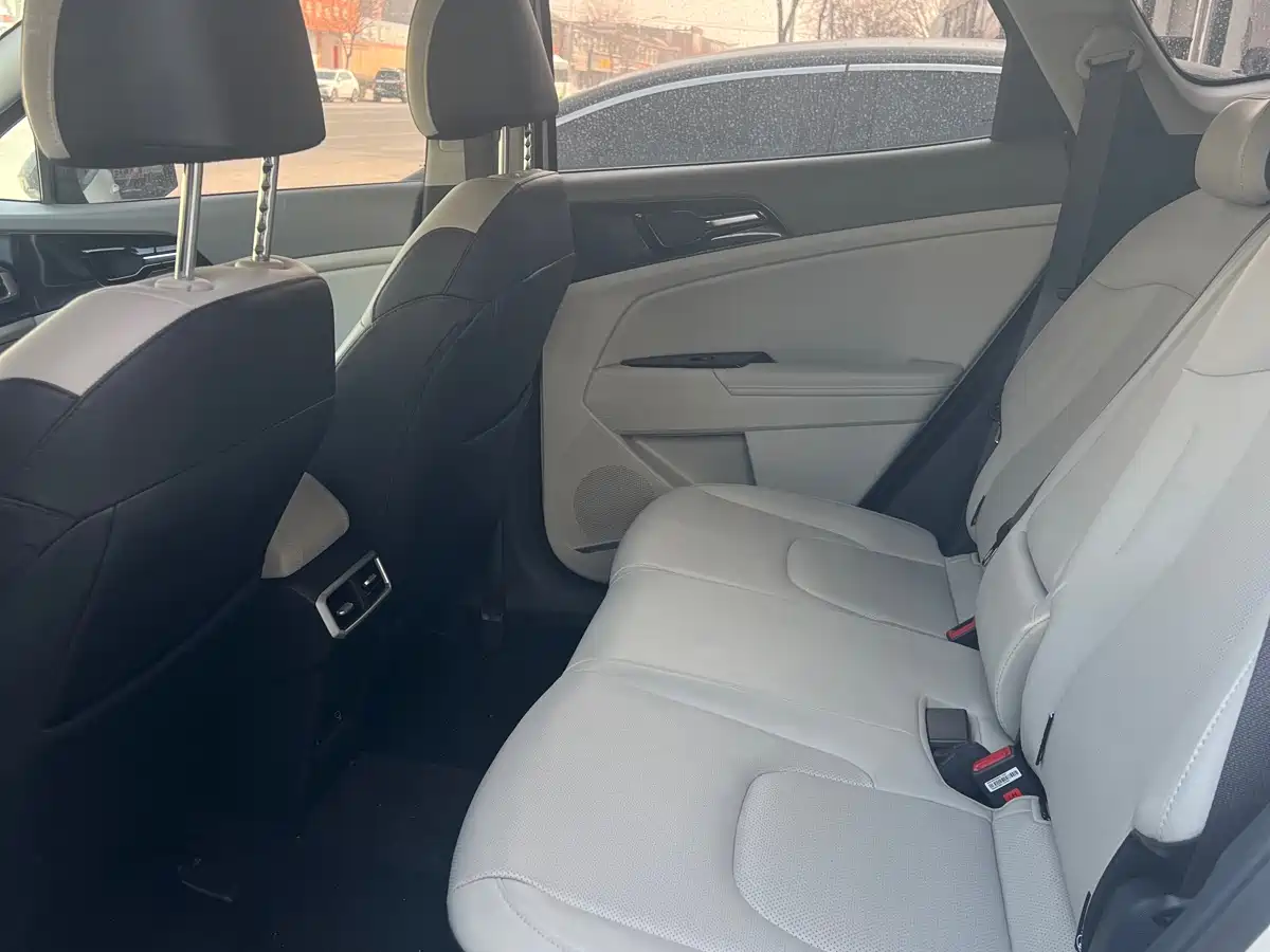 KIA LION PLATINUM EXPANDS THE WORLD