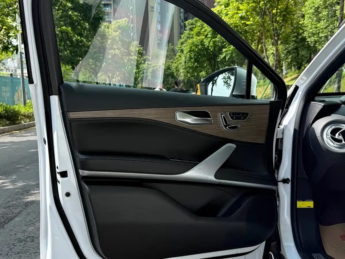 Denza X 2020 Model PHEV Flagship Edition фото 9