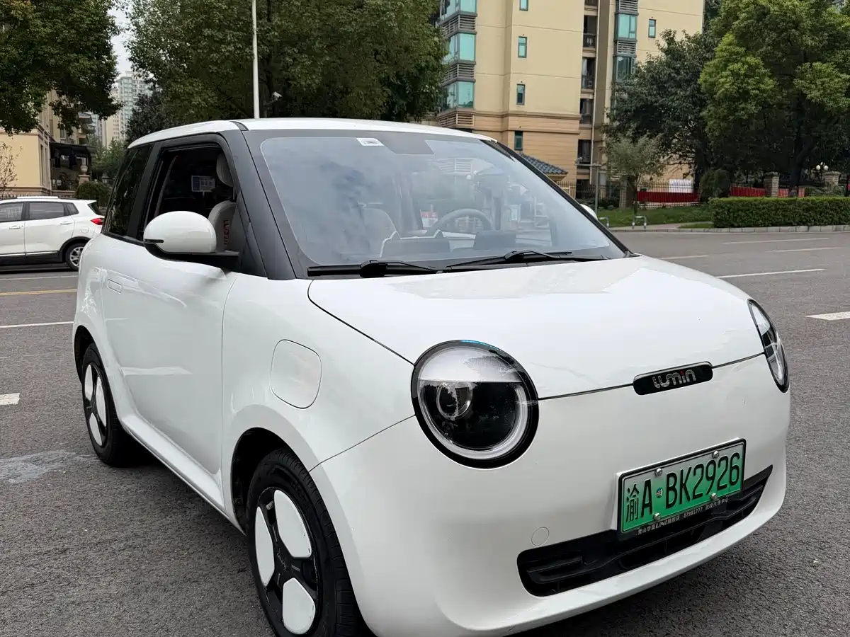 Photo 3 - Changan Lumin
