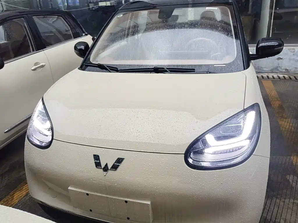 Wuling Motors Wuling Bingo 2026 2025 Model 333km Joy Edition