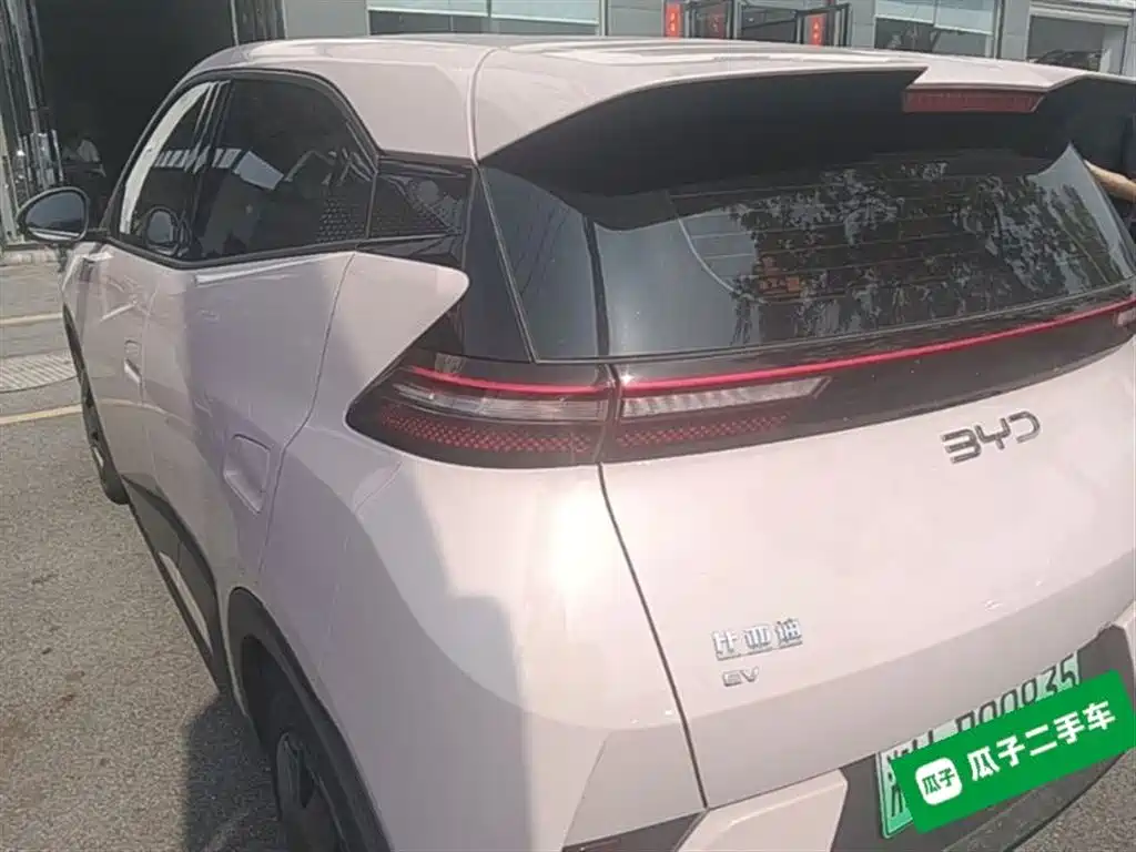 BYD Seagull 2025 Smart Drive Edition 305km Vitality Version фото 5