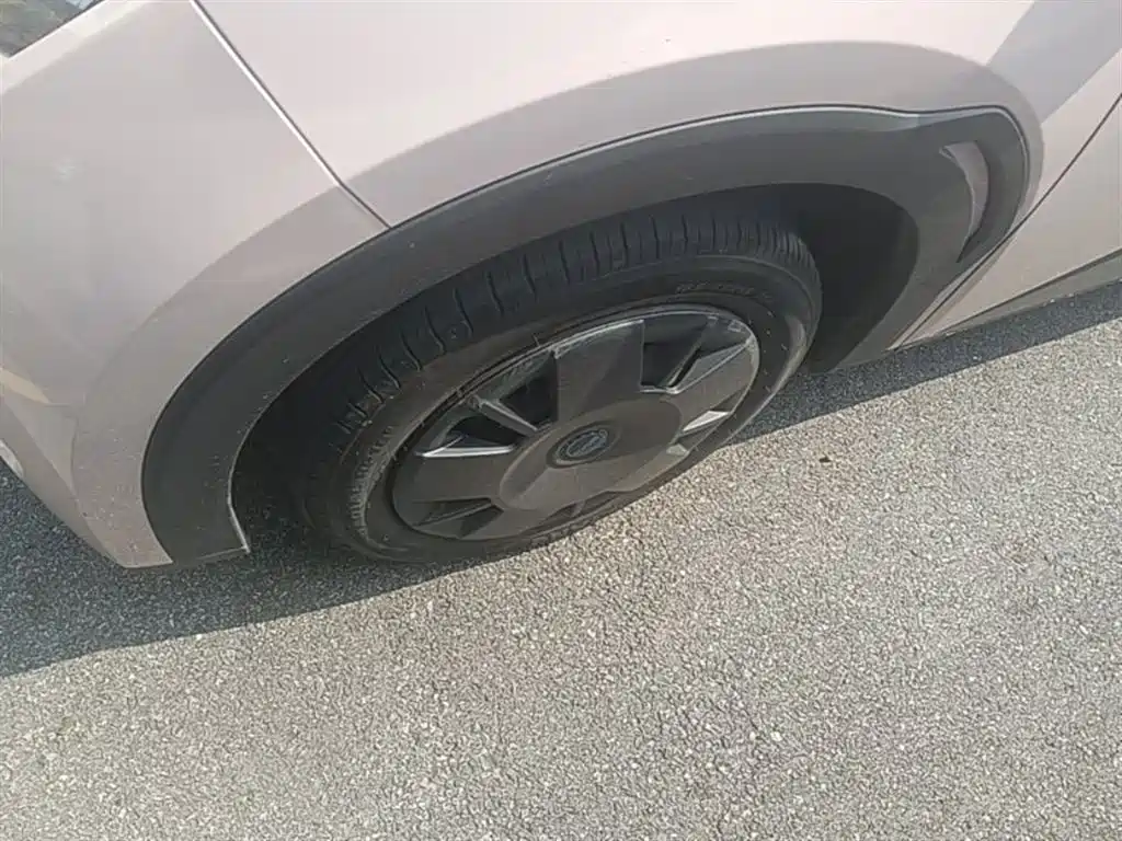 BYD Seagull 2025 Smart Drive Edition 305km Vitality Version фото 23