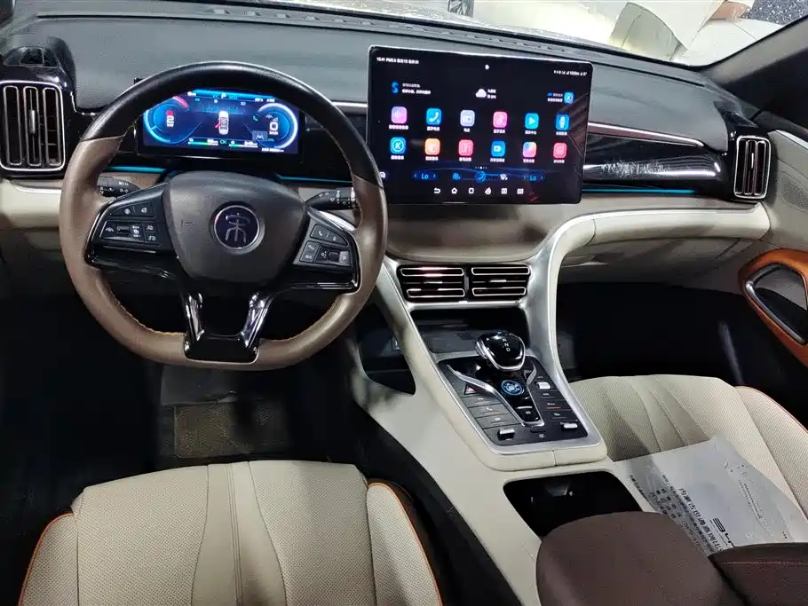 BYD Song Pro New Energy 2023 Champion Edition DM-i 110KM Excellence фото 12