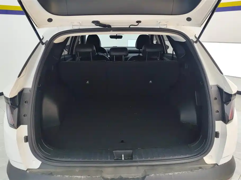 Hyundai Tucson 2023 Tucson L 1.5T Automatic 2WD GLX Elite Edition фото 4