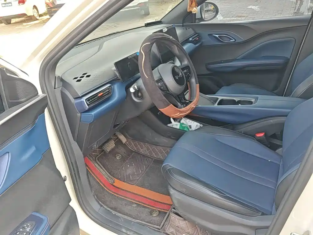 BYD Seagull 2026 2025 Smart Drive Edition 305km Vitality Version