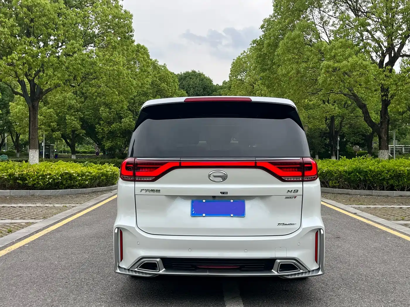 GAC Trumpchi Trumpchi M8 2021 Master Series 390T Ultimate Edition фото 5