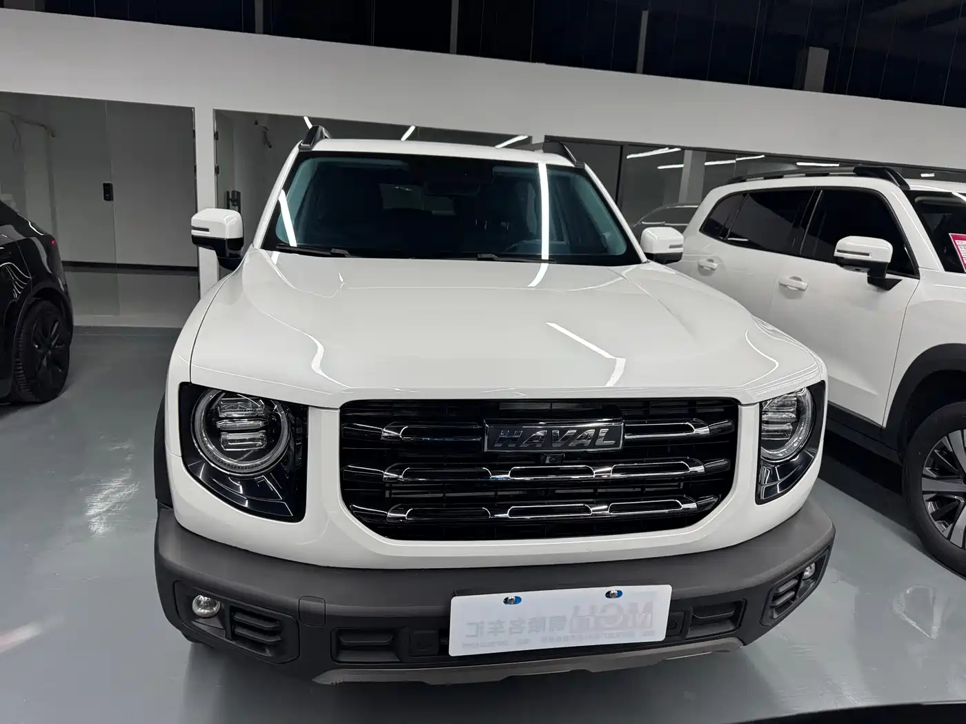Haval Big Dog 2021 1.5T DCT 2WD Labrador Edition