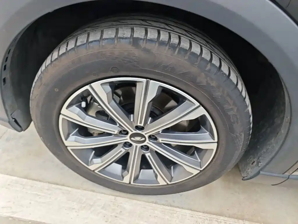 Фото 23 - Chery Fengyun Fengyun T9