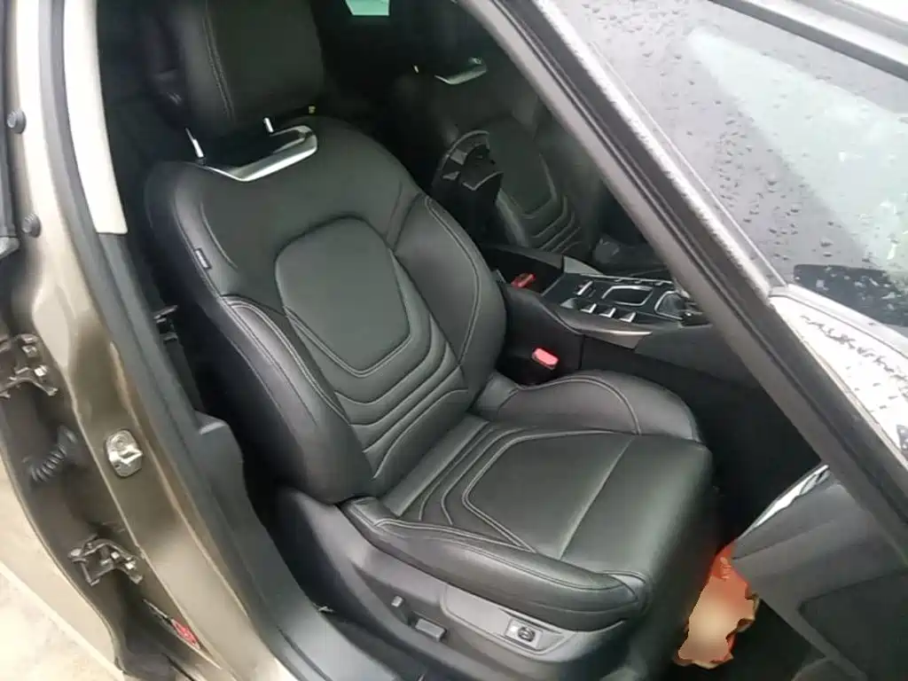DS 5 2017 2015 1.8T Luxury THP200