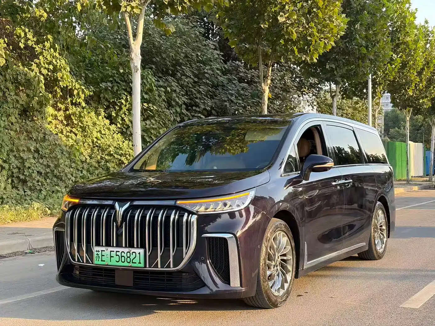 Voyah Auto Voyah Dreamer 2022 Low-carbon Dream+Smart Package