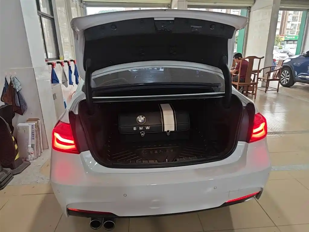 BMW 3 Series 2018 320Li Leading M Sport Package фото 19