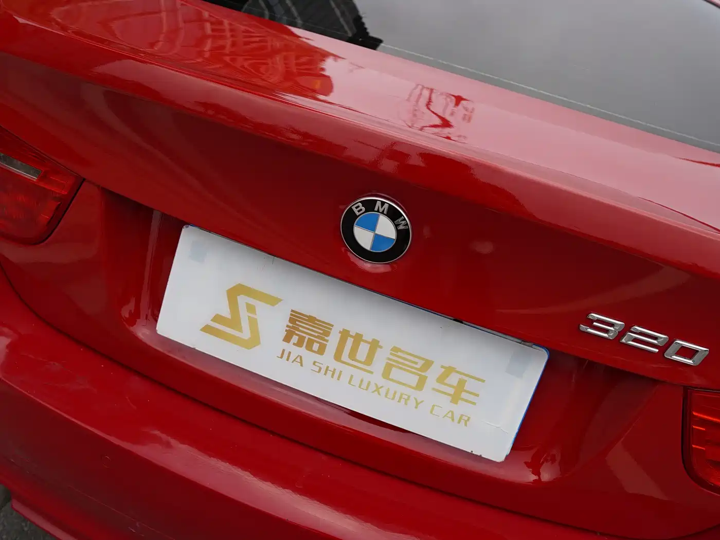 BMW 3 Series 2012 320i Luxury фото 24