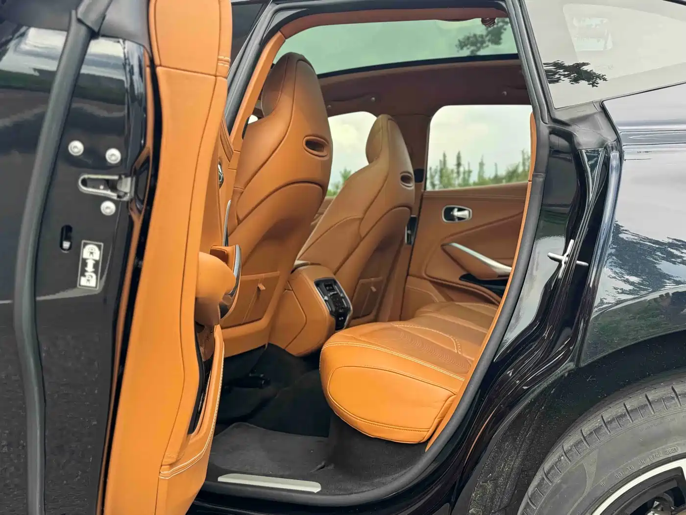 Фото 13 - Aston Martin DBX