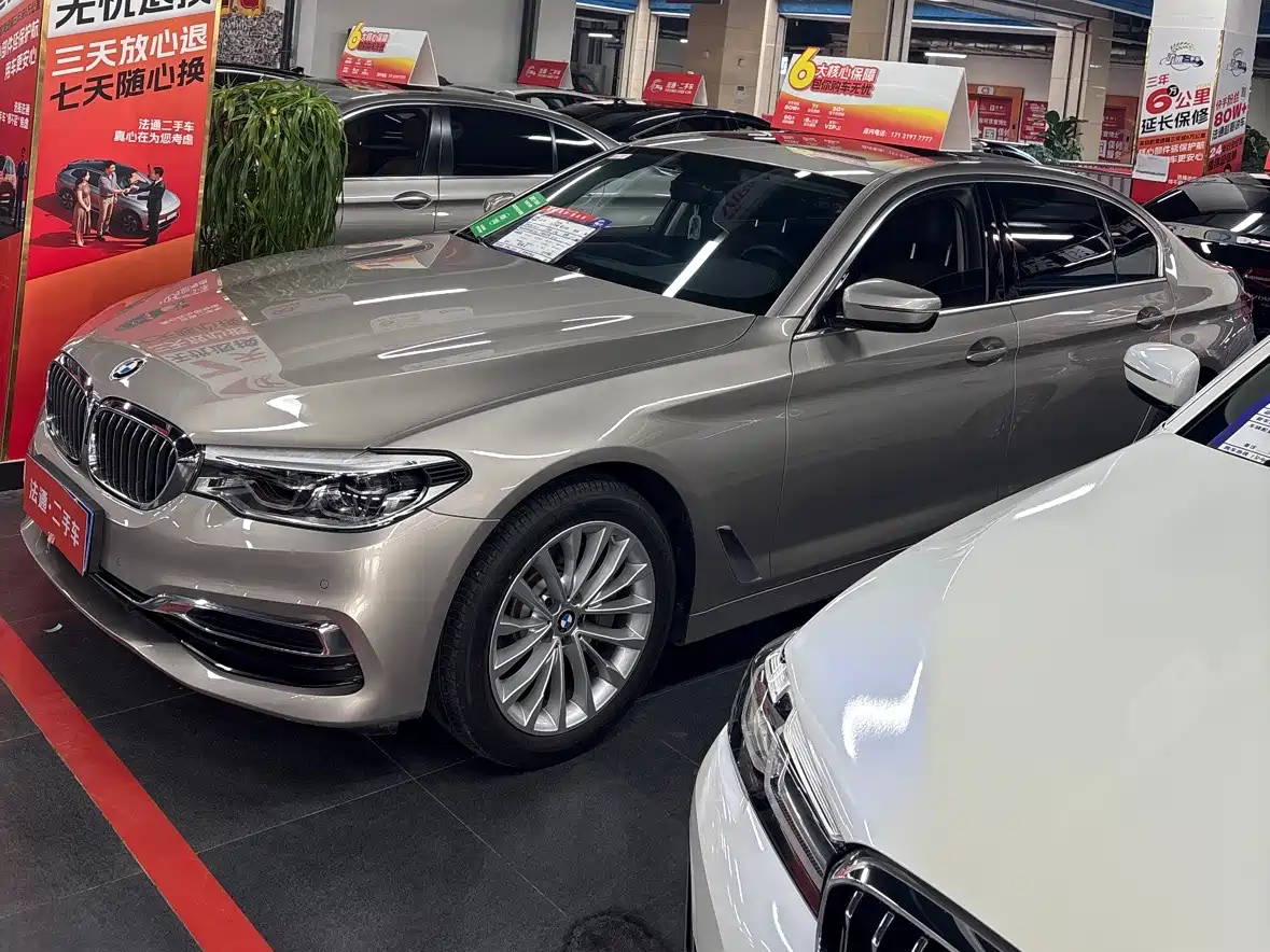 BMW 5 Series 2020 530Li xDrive Luxury Package фото 3