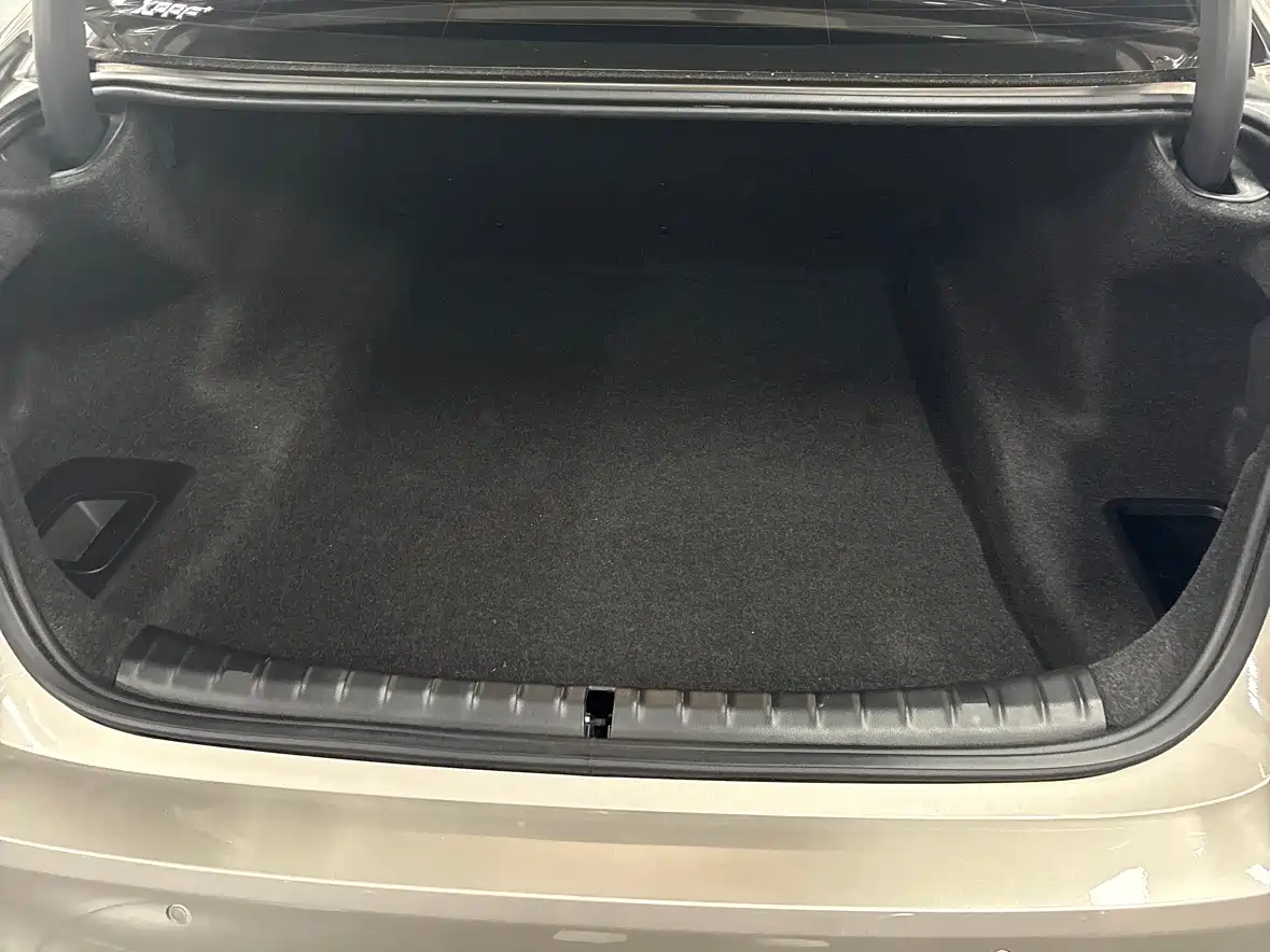BMW 5 Series 2020 530Li xDrive Luxury Package фото 15