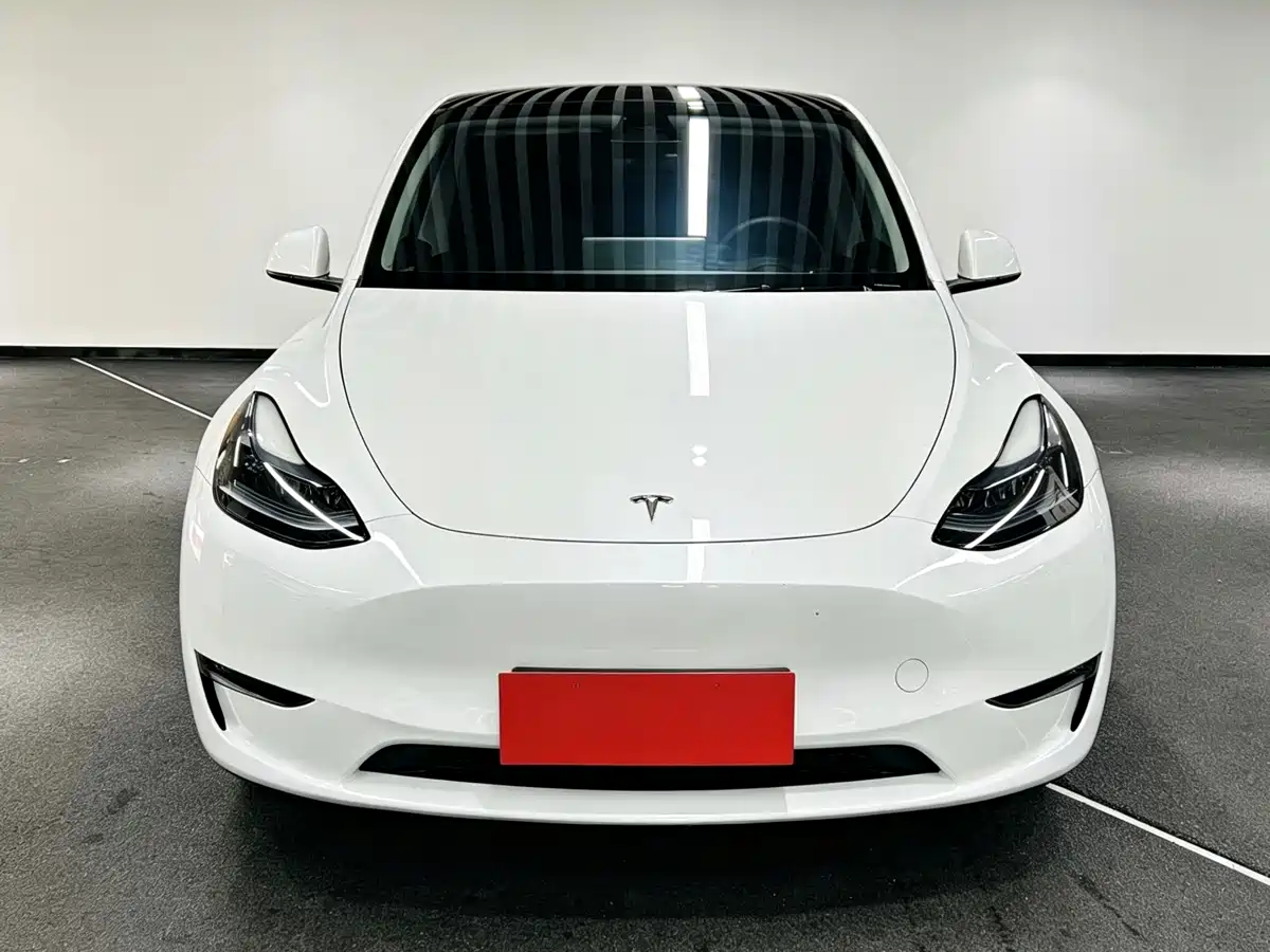 Tesla Model Y 2024 Performance фото 2