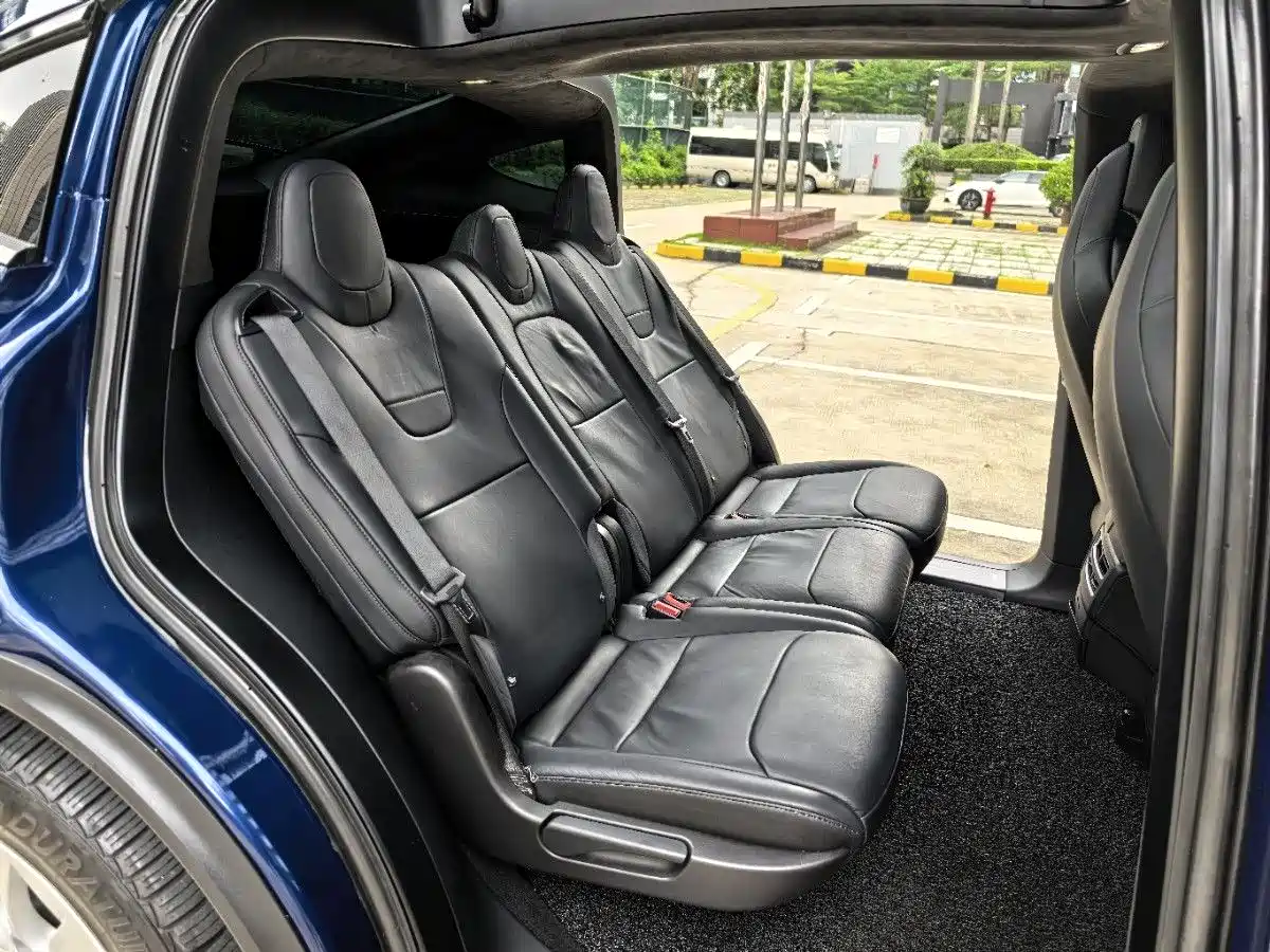 Tesla Model X 2017 2017 Model X 100D Long Range