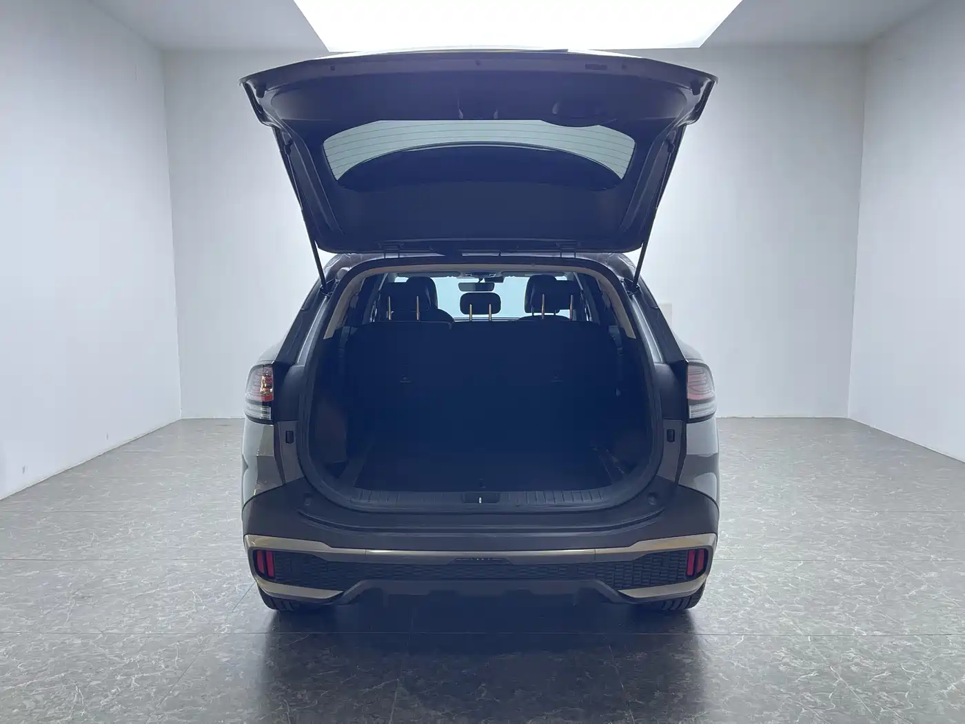 KIA LION PLATINUM EXPANDS THE WORLD