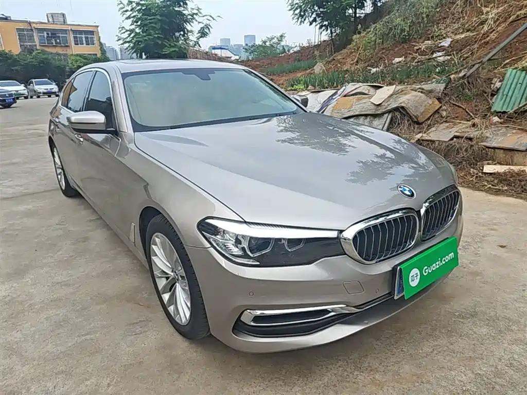 BMW 5 Series 2020 525Li Luxury Package фото 4