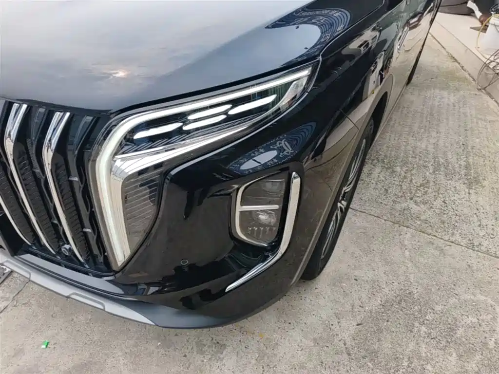 Hongqi HS7 PHEV 2025 2.0T PHEV 4WD 6-Seater Commemorative Edition фото 24