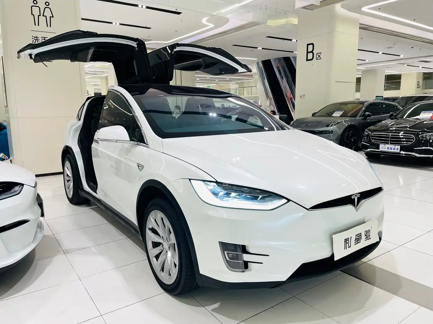 TESLA MODEL X