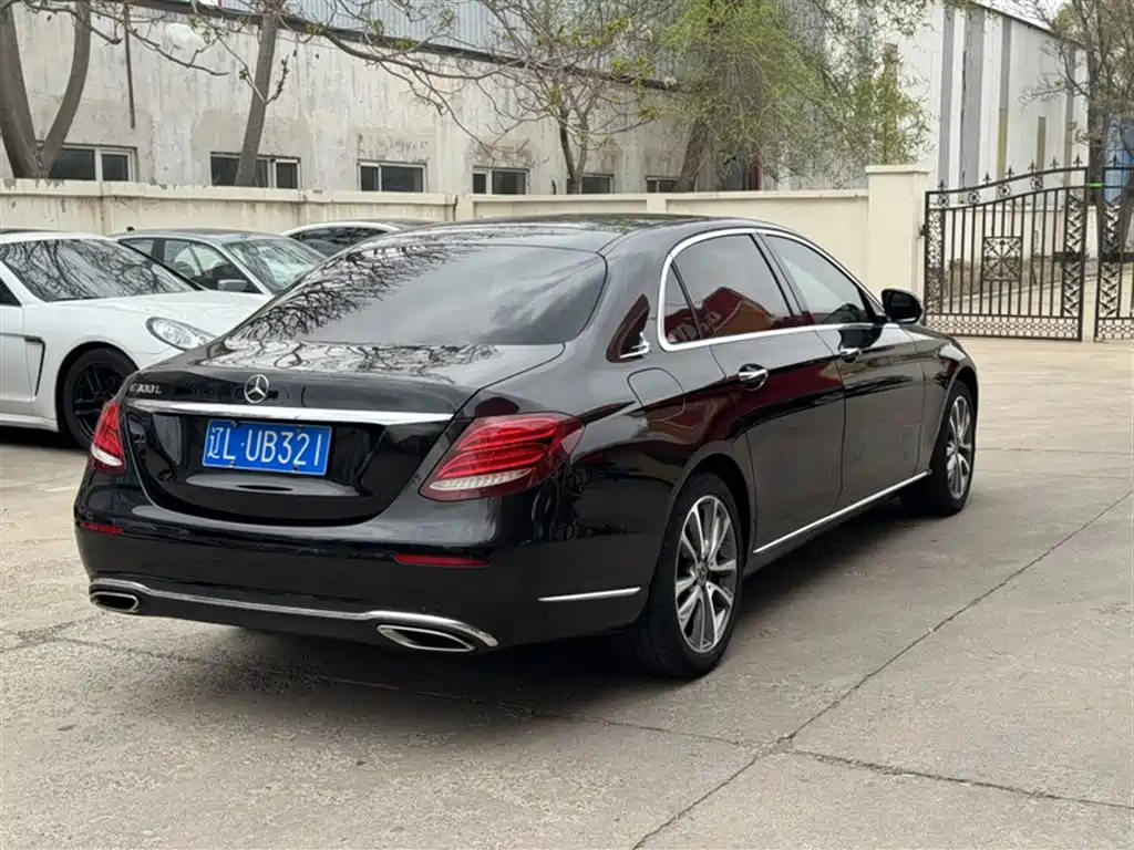 Mercedes-Benz E-Class 2019 Facelift E 300 L Luxury фото 9