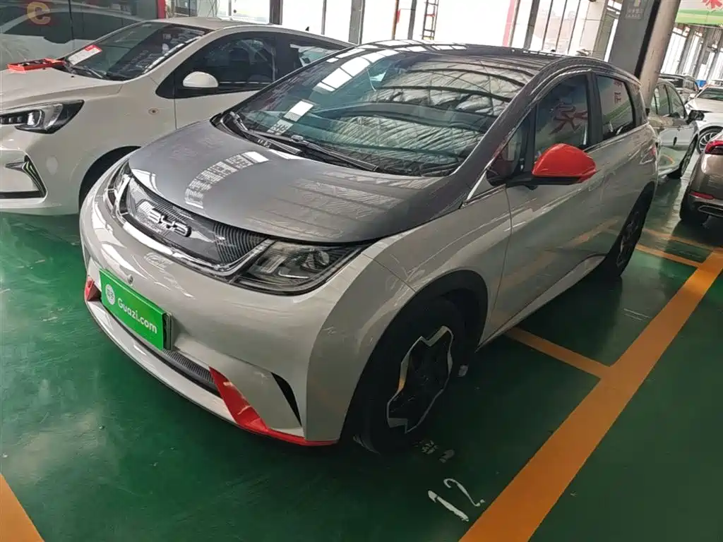 BYD Dolphin 2021 Model 405km Fashion Edition