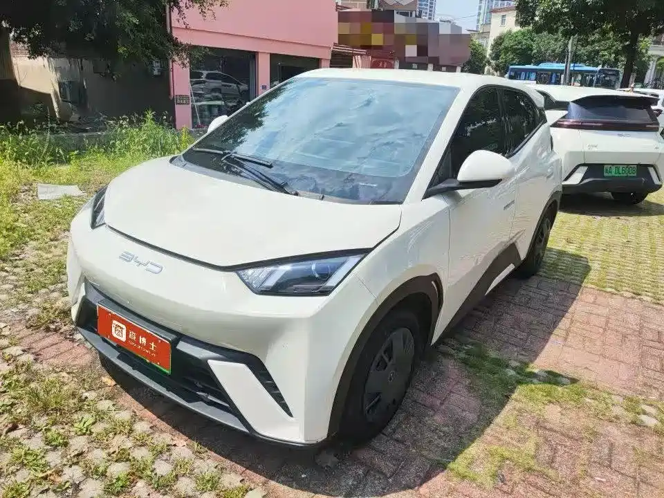 BYD Seagull 2023 Vitality Edition