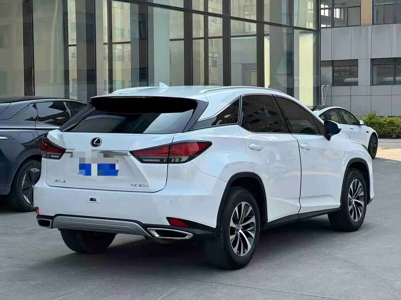 Lexus RX 2020 Facelift 300 2WD Elite Edition фото 8