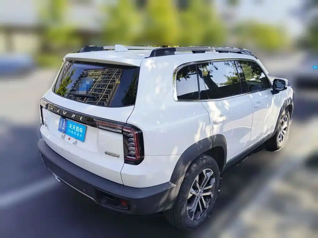 Haval Dargo 2021 2021 1.5T DCT 2WD Border Collie - Wangcai Edition