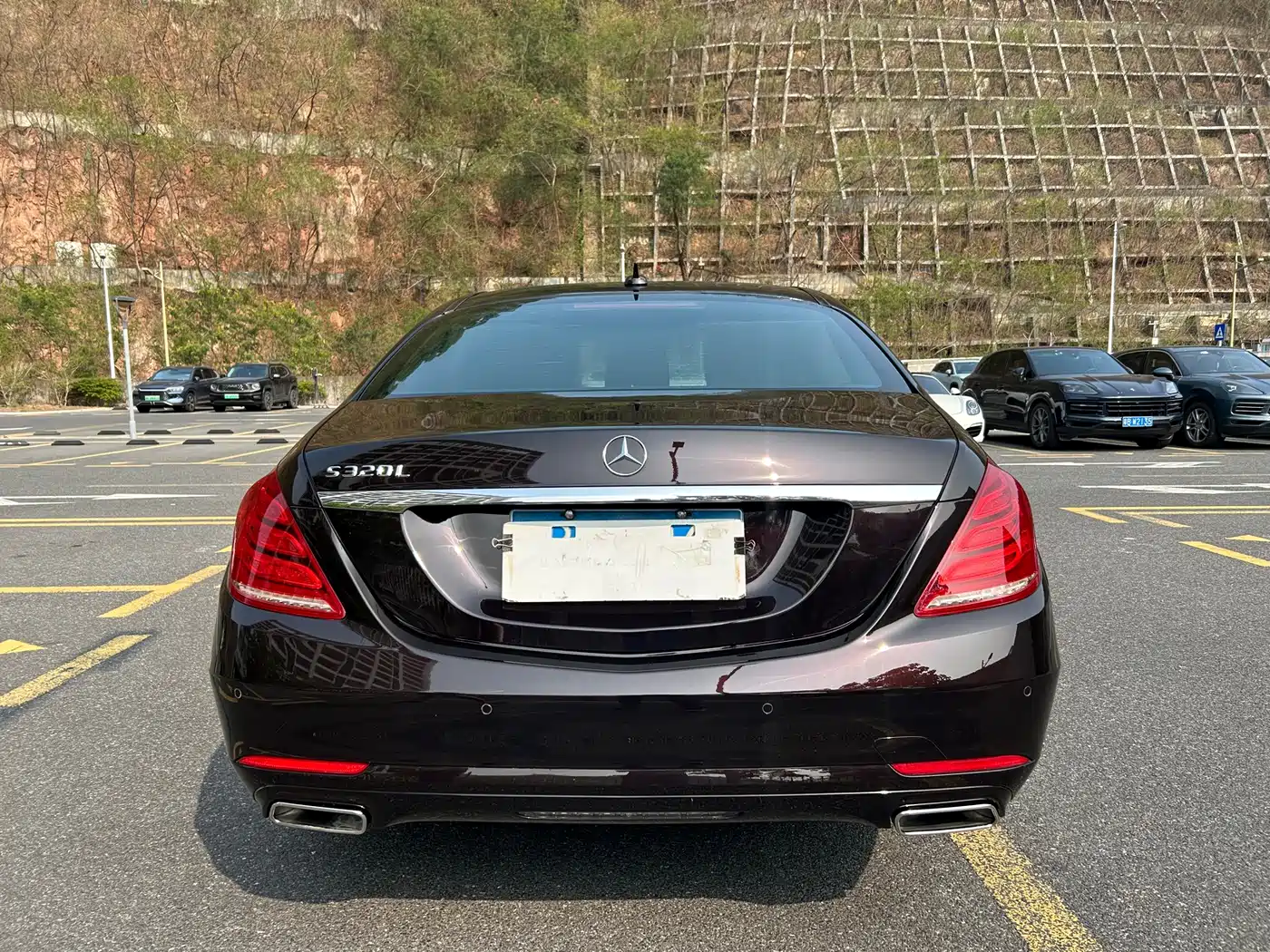 Mercedes-Benz S-Class 2014 S 320 L Business фото 27