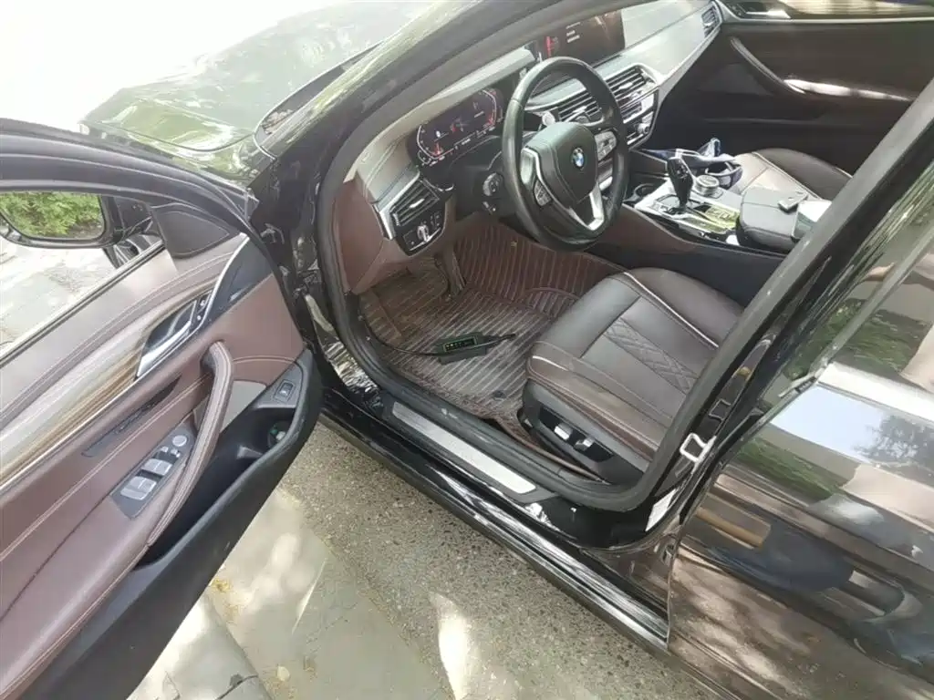 BMW 5 Series 2021 530Li Leading Luxury Package фото 16