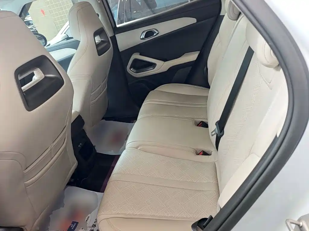 BYD Yuan UP 2024 2024 401KM Surpass Edition