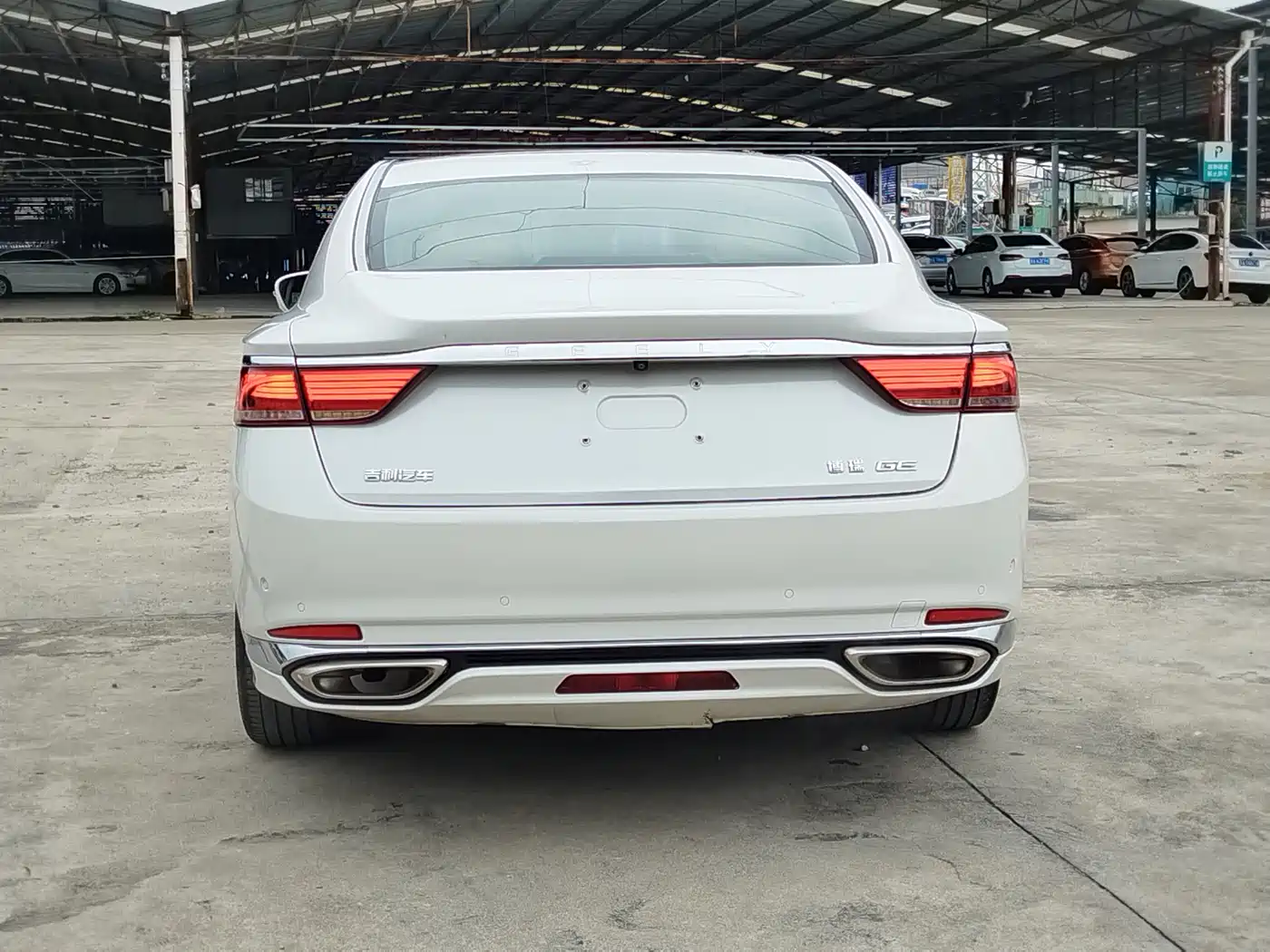 Фото 6 - Geely Borui
