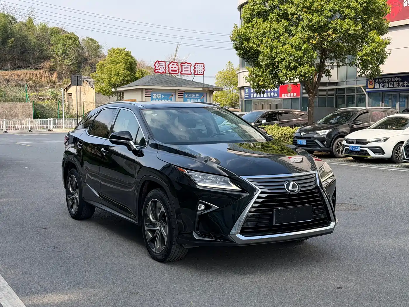 LEXUS RX